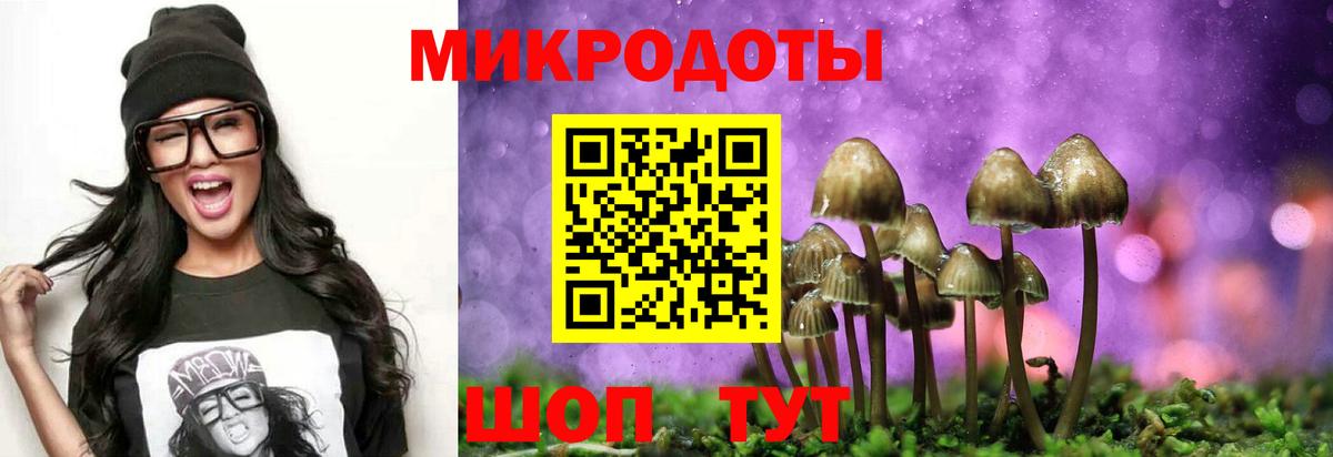 Псилоцибиновые грибы Psilocybine cubensis Югорск